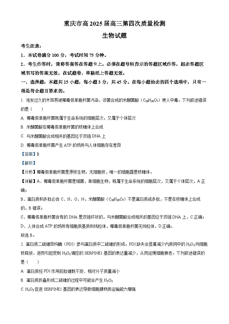 重庆市南开中学2025届高三上学期12月质量检测(四)生物试题 Word版含解析第1页