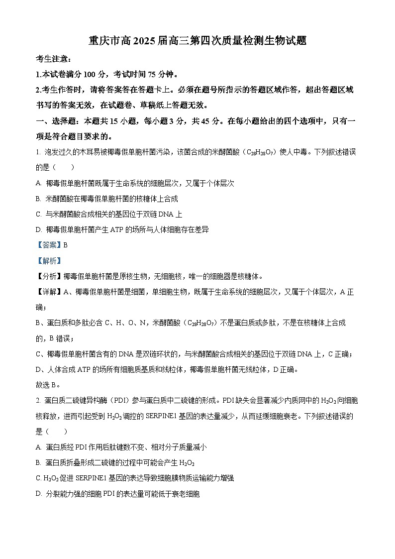 重庆市南开中学2024-2025学年高三上学期12月月考生物试题 Word版含解析第1页