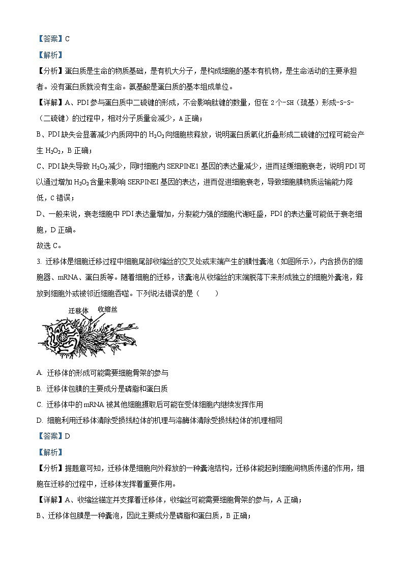 重庆市南开中学2024-2025学年高三上学期12月月考生物试题 Word版含解析第2页