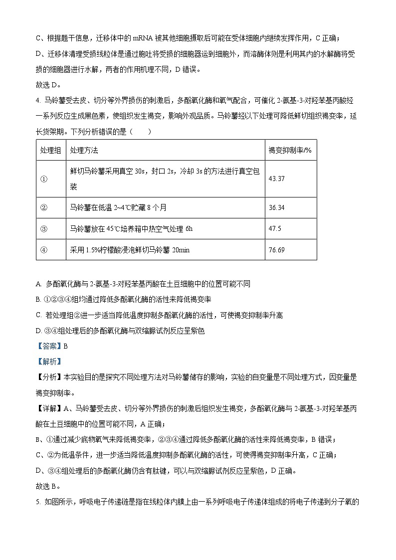 重庆市南开中学2024-2025学年高三上学期12月月考生物试题 Word版含解析第3页
