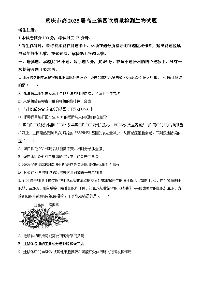 重庆市南开中学2024-2025学年高三上学期12月月考生物试题 Word版无答案第1页