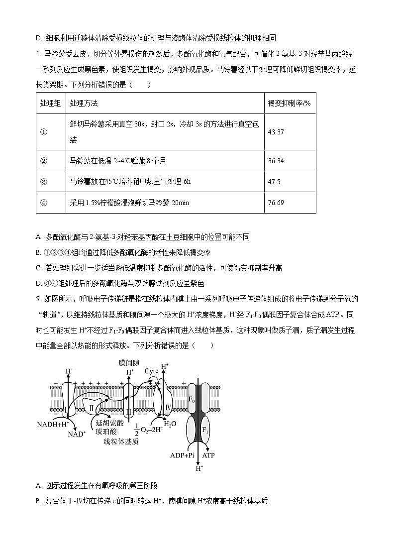 重庆市南开中学2024-2025学年高三上学期12月月考生物试题 Word版无答案第2页
