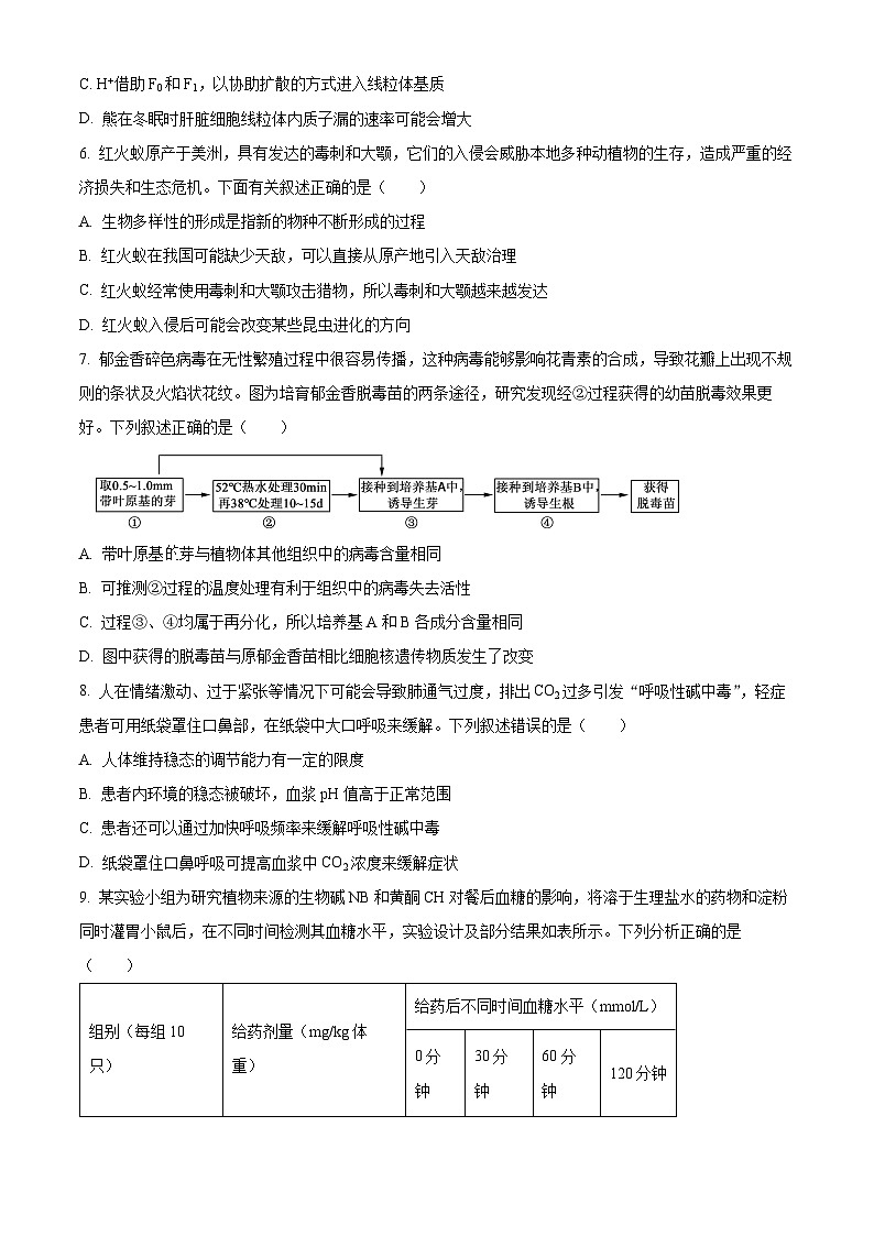 重庆市南开中学2024-2025学年高三上学期12月月考生物试题 Word版无答案第3页