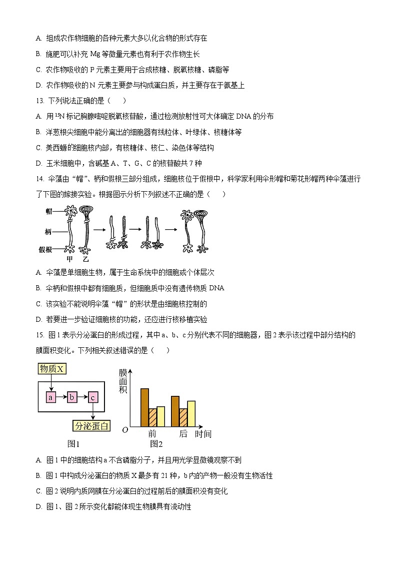 重庆市第一中学2024-2025学年高一上学期12月期中生物试题 Word版无答案第3页