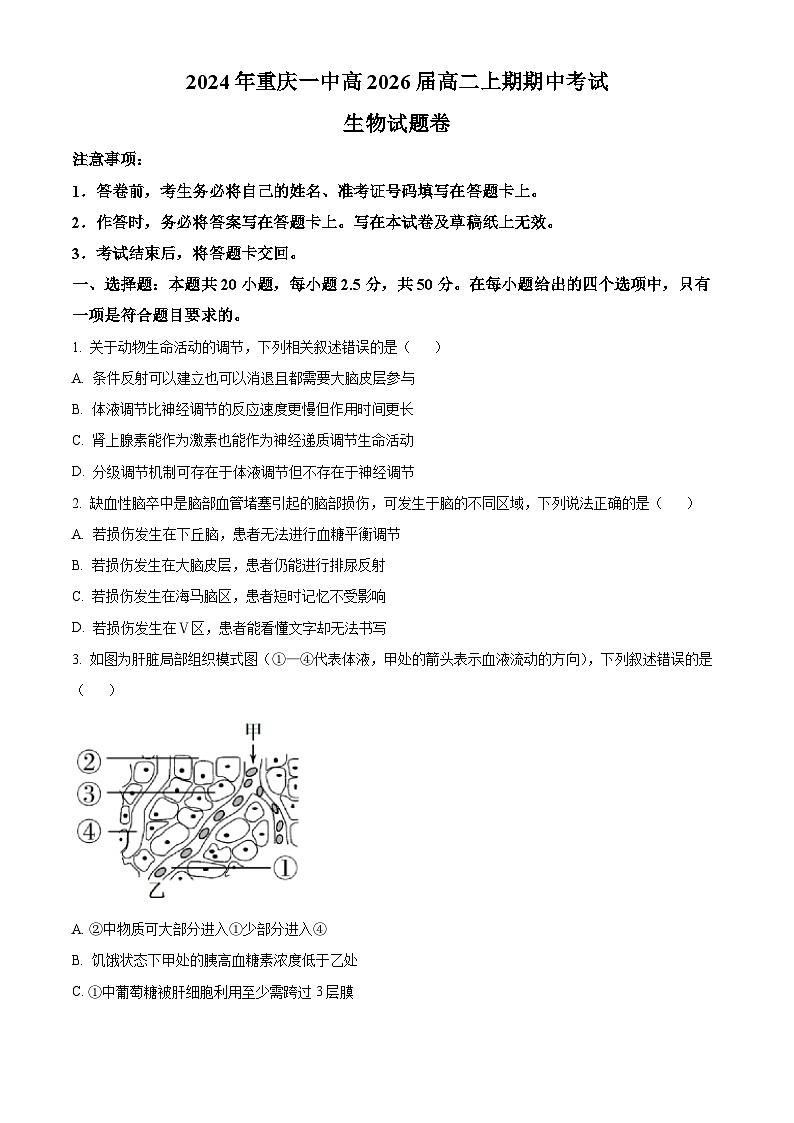 重庆市第一中学2024-2025学年高二上学期12月期中生物试题 Word版无答案第1页