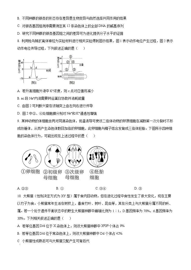 重庆市第一中学2024-2025学年高二上学期12月期中生物试题 Word版无答案第3页