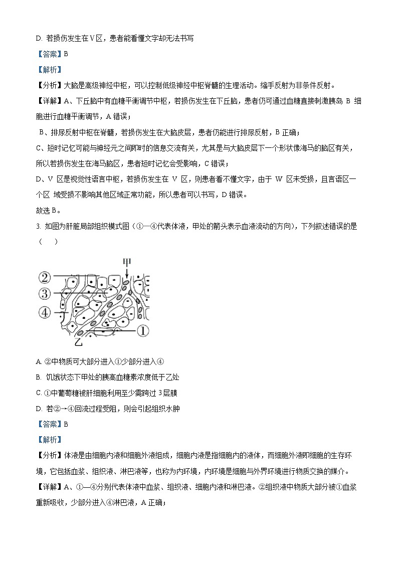 重庆市第一中学2024-2025学年高二上学期12月期中生物试题 Word版含解析第2页