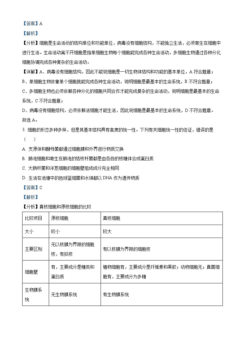 四川省绵阳市南山中学2024-2025学年高一上学期12月月考生物试题 Word版含解析第2页