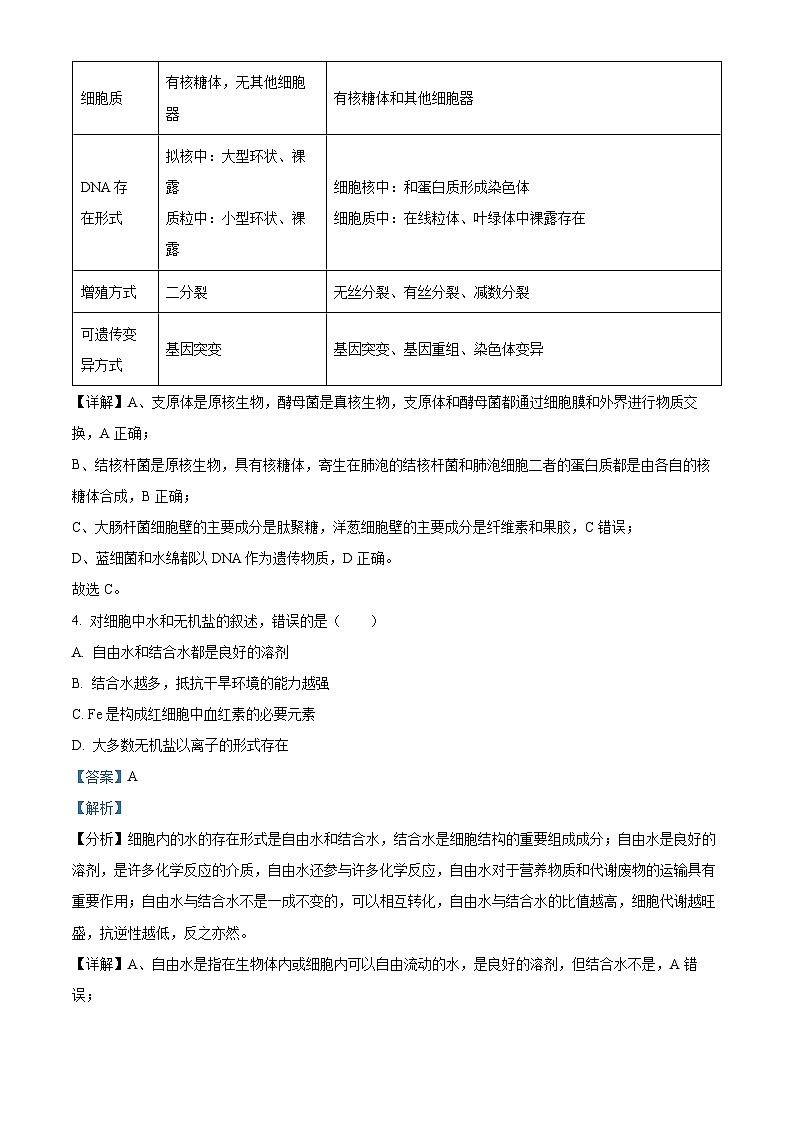 四川省绵阳市南山中学2024-2025学年高一上学期12月月考生物试题 Word版含解析第3页