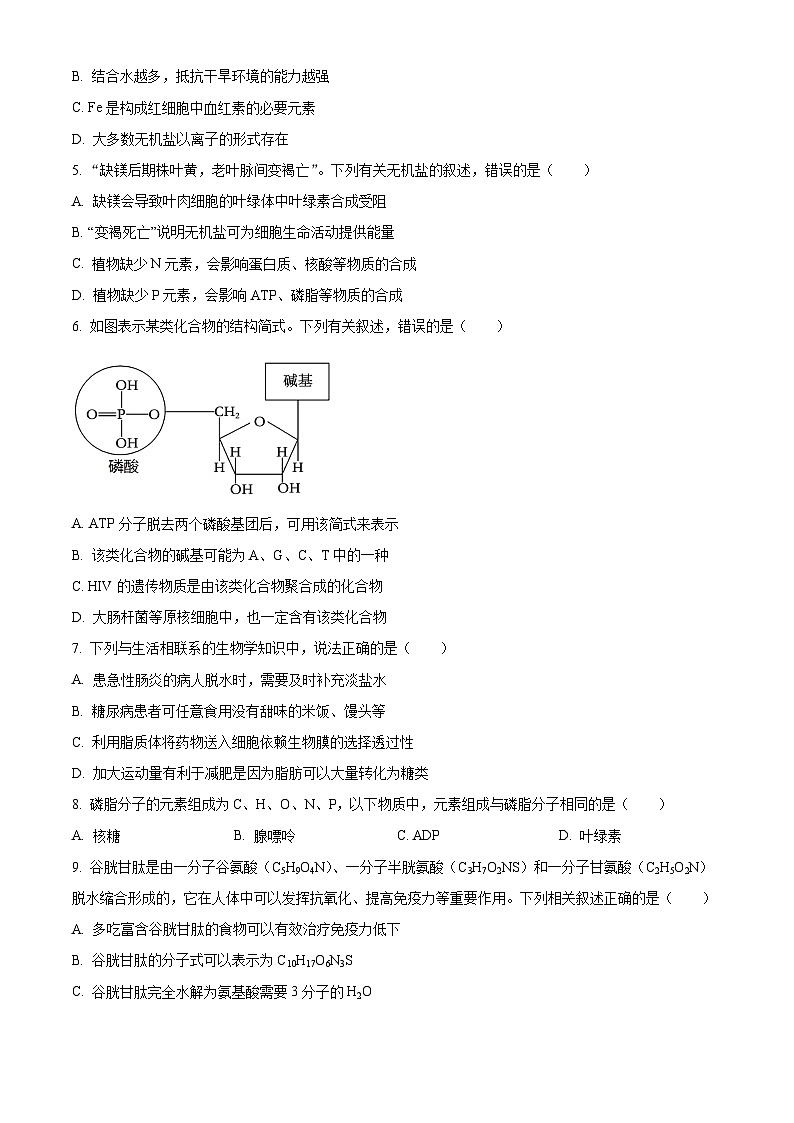 四川省绵阳市南山中学2024-2025学年高一上学期12月月考生物试题 Word版无答案第2页
