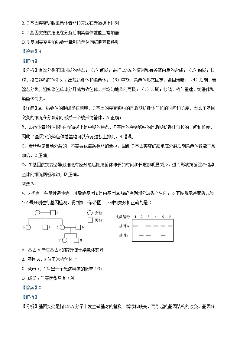 四川省巴中市通江中学2024-2025学年高三上学期11月月考生物试题 Word版含解析第3页