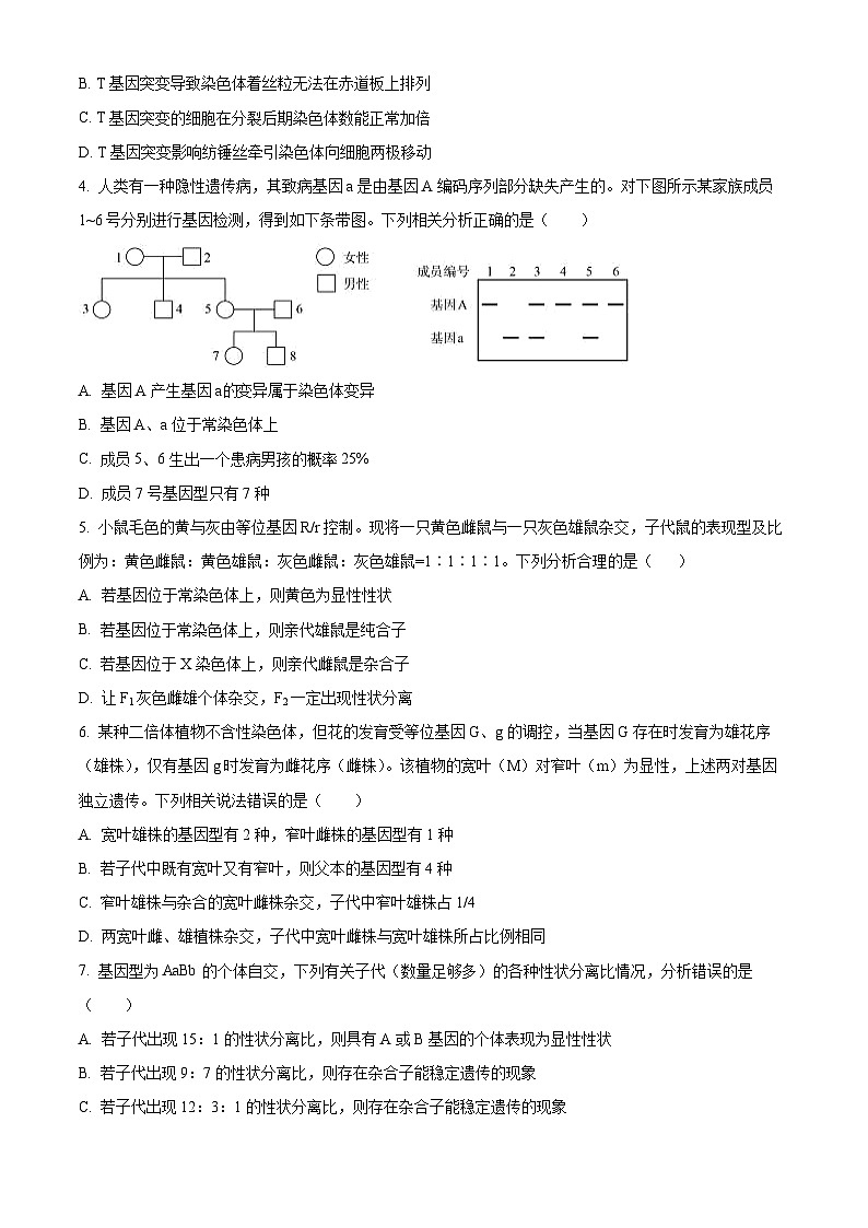 四川省巴中市通江中学2024-2025学年高三上学期11月月考生物试题 Word版无答案第2页