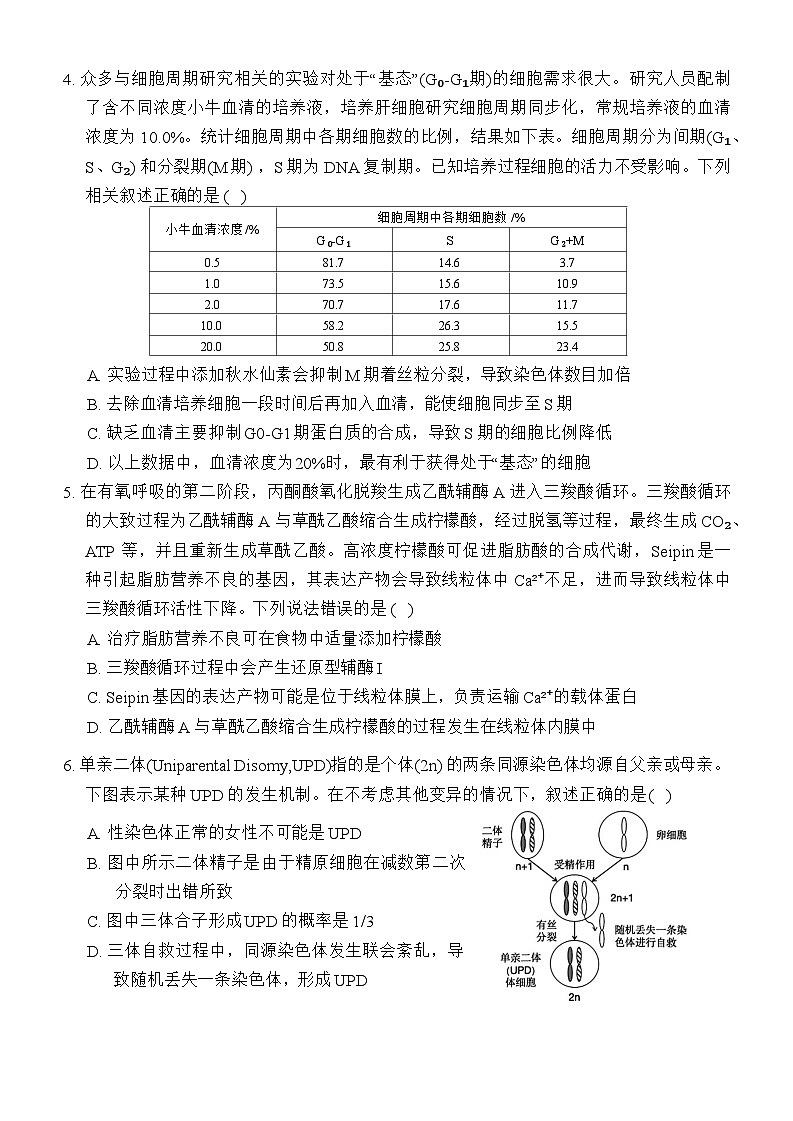 重庆市西南大学附属中学2024~2025学年高三上学期12月一诊模拟考试生物试卷（Word版附解析）第2页