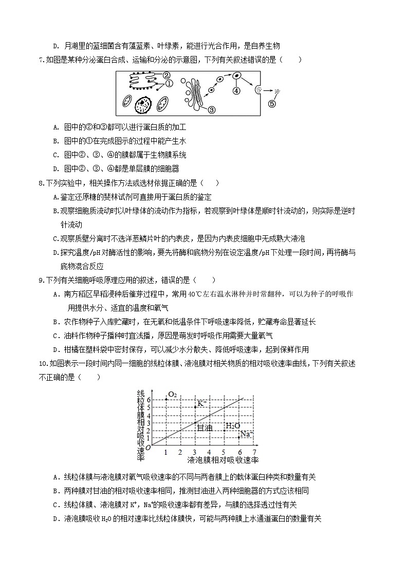 四川省宜宾市三中教育集团2023-2024学年高一上学期生物期末冲刺卷（一）试卷（Word版附答案）第2页