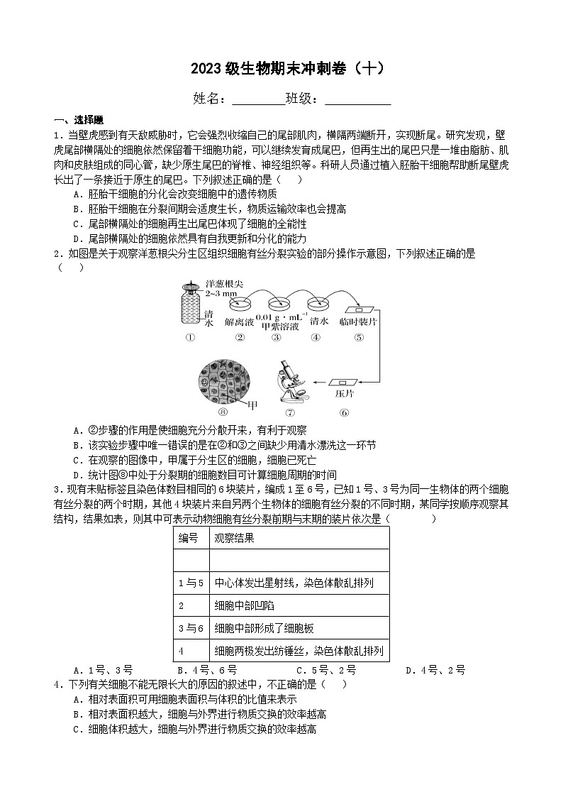 四川省宜宾市三中教育集团2023-2024学年高一上学期生物期末冲刺卷（十）试卷（Word版附答案）第1页