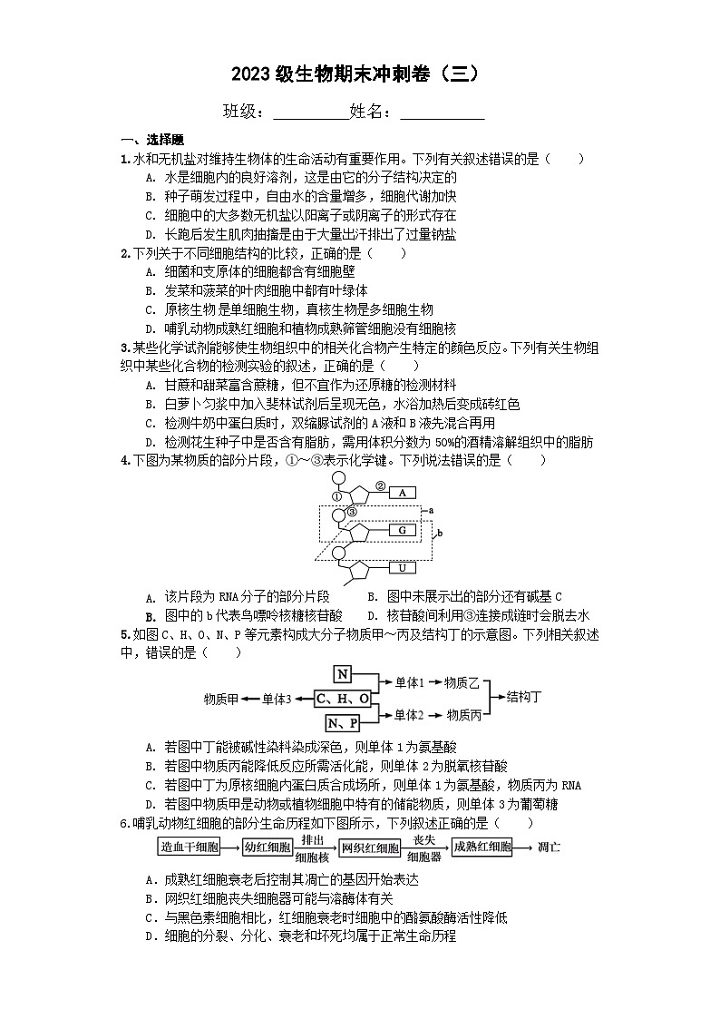 四川省宜宾市三中教育集团2023-2024学年高一上学期生物期末冲刺卷（三）试卷（Word版附答案）第1页