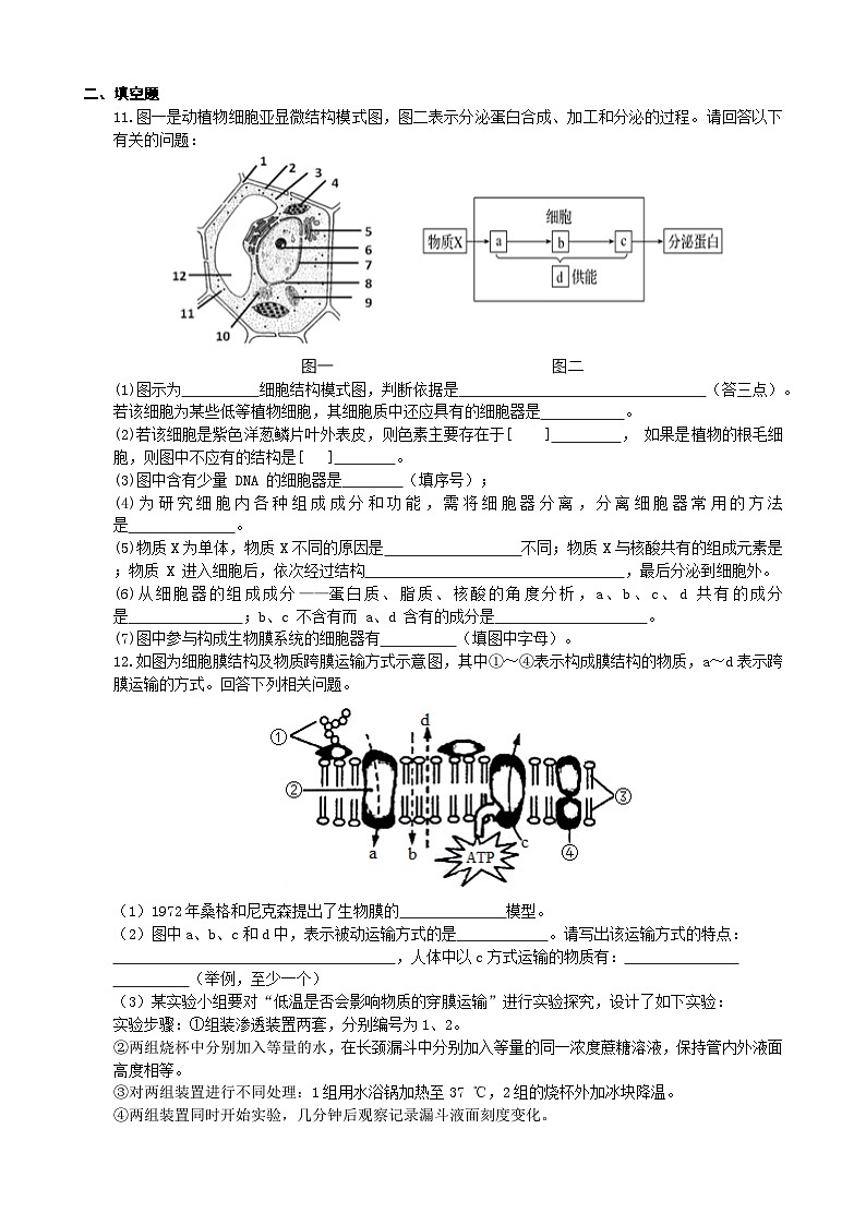 四川省宜宾市三中教育集团2023-2024学年高一上学期生物期末冲刺卷（三）试卷（Word版附答案）第3页