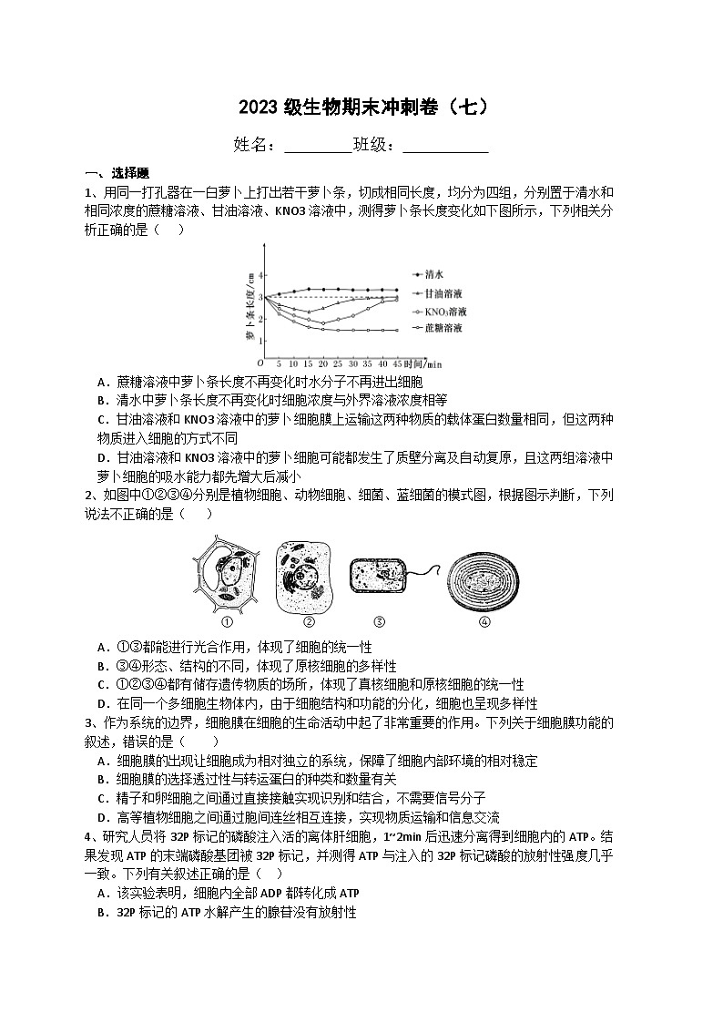 四川省宜宾市三中教育集团2023-2024学年高一上学期生物期末冲刺卷（七）试卷（Word版附答案）第1页