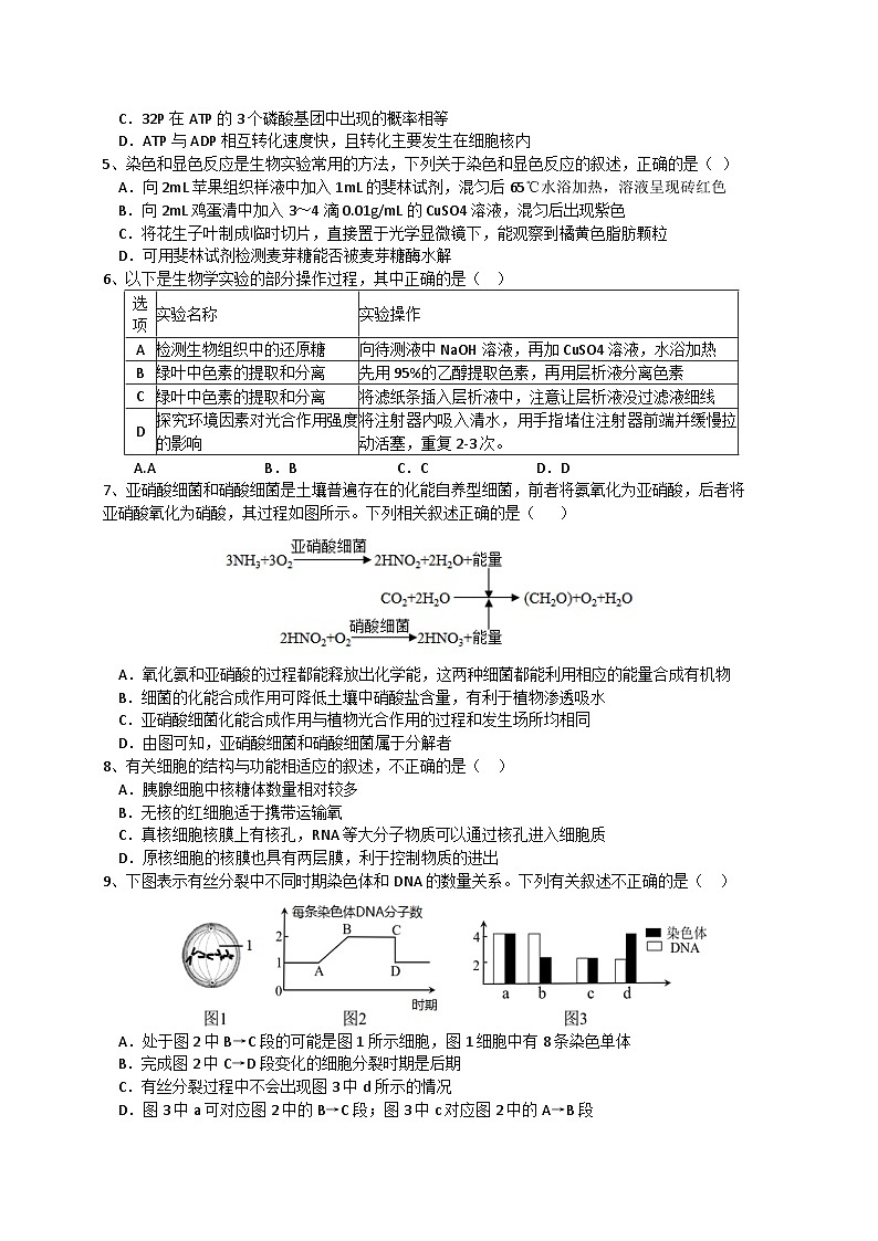 四川省宜宾市三中教育集团2023-2024学年高一上学期生物期末冲刺卷（七）试卷（Word版附答案）第2页