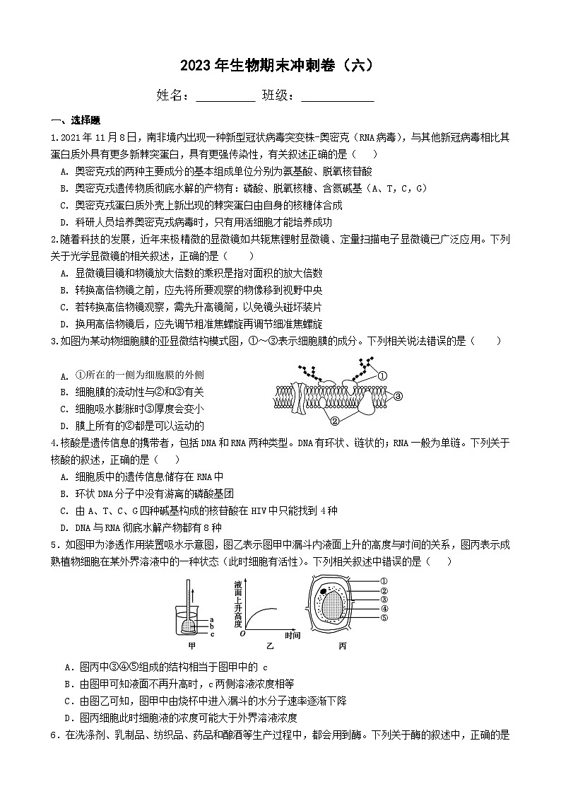 四川省宜宾市三中教育集团2023-2024学年高一上学期生物期末冲刺卷（六）试卷（Word版附答案）第1页
