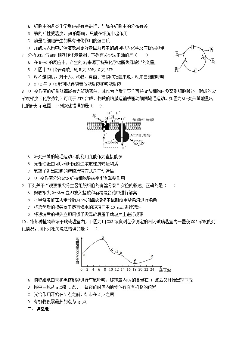 四川省宜宾市三中教育集团2023-2024学年高一上学期生物期末冲刺卷（六）试卷（Word版附答案）第2页