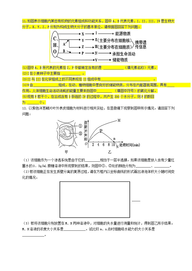 四川省宜宾市三中教育集团2023-2024学年高一上学期生物期末冲刺卷（六）试卷（Word版附答案）第3页
