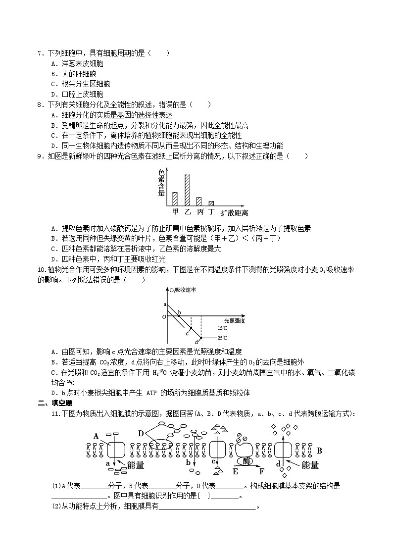 四川省宜宾市三中教育集团2023-2024学年高一上学期生物期末冲刺卷（二）试卷（Word版附答案）第2页