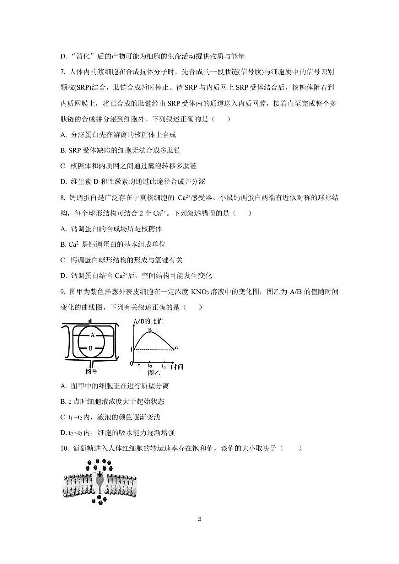 宣城二中2027届高一第一学期第三次调研测试生物学试题- 第3页