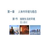 高中生物人教版选择性必修一 《细胞生活的环境》课件