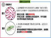 高中生物人教版选择性必修一 《细胞生活的环境》课件