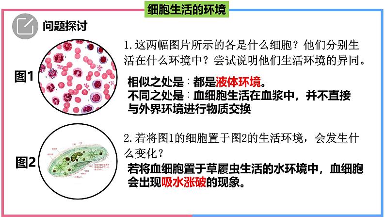 高中生物人教版选择性必修一 《细胞生活的环境》课件第2页