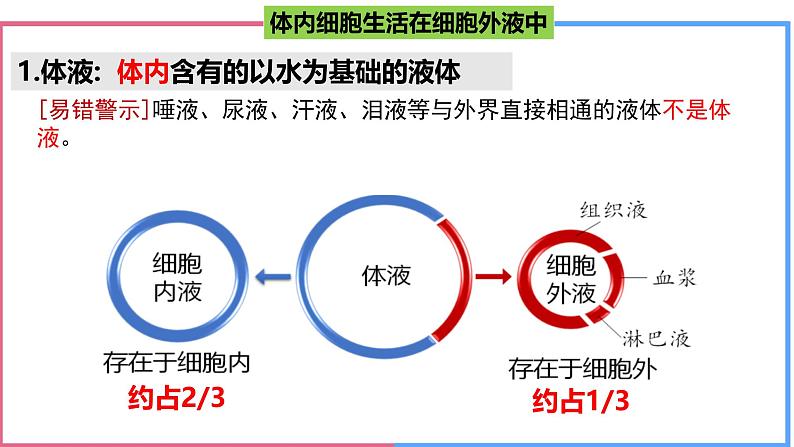 高中生物人教版选择性必修一 《细胞生活的环境》课件第3页