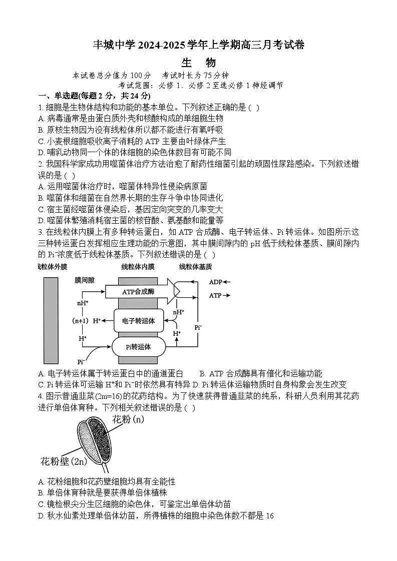 江西省宜春市丰城市丰城中学2024~2025学年高三上学期12月月考生物试题第1页