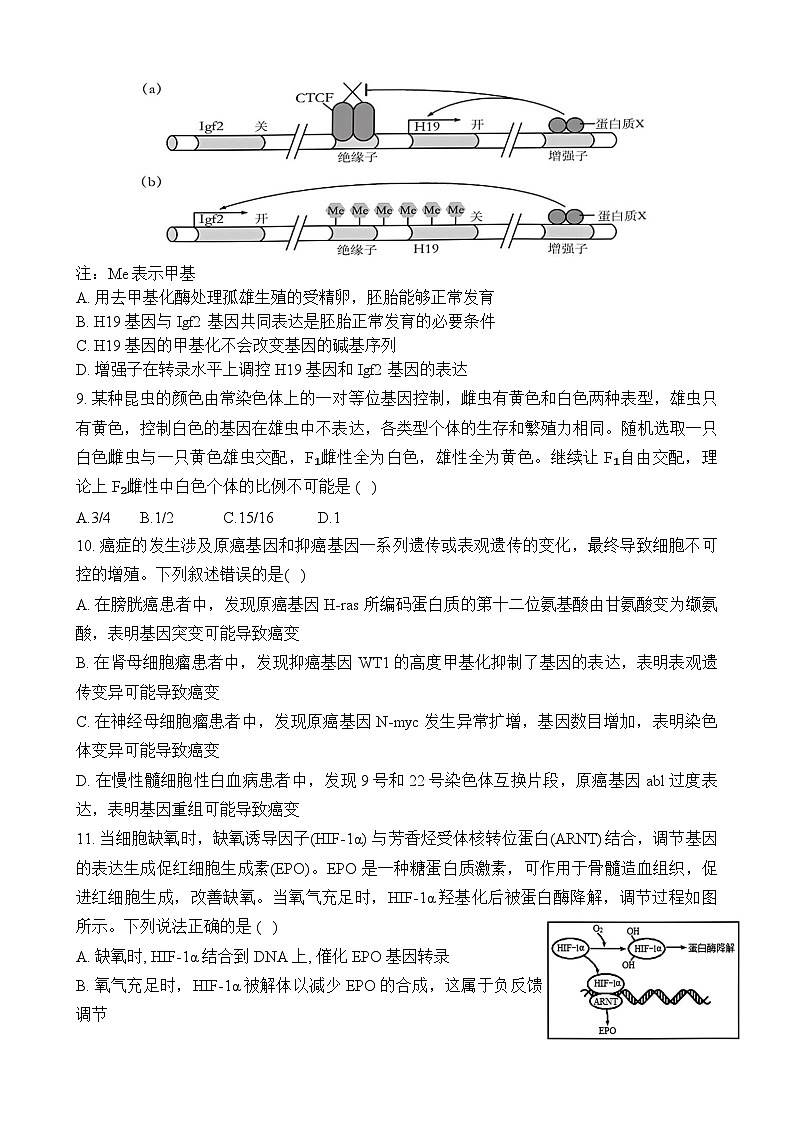 江西省宜春市丰城市丰城中学2024~2025学年高三上学期12月月考生物试题第3页