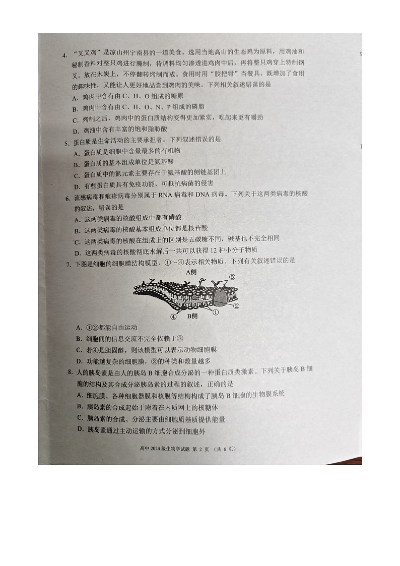 (预约)四川省成都市蓉城联盟2024-2025学年高一上学期12月期末生物试卷第2页