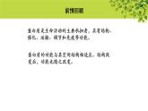高中生物人教版必修1《蛋白质是生命活动的主要承担者》第2课时  课件
