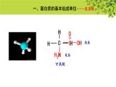 高中生物人教版必修1《蛋白质是生命活动的主要承担者》第2课时  课件
