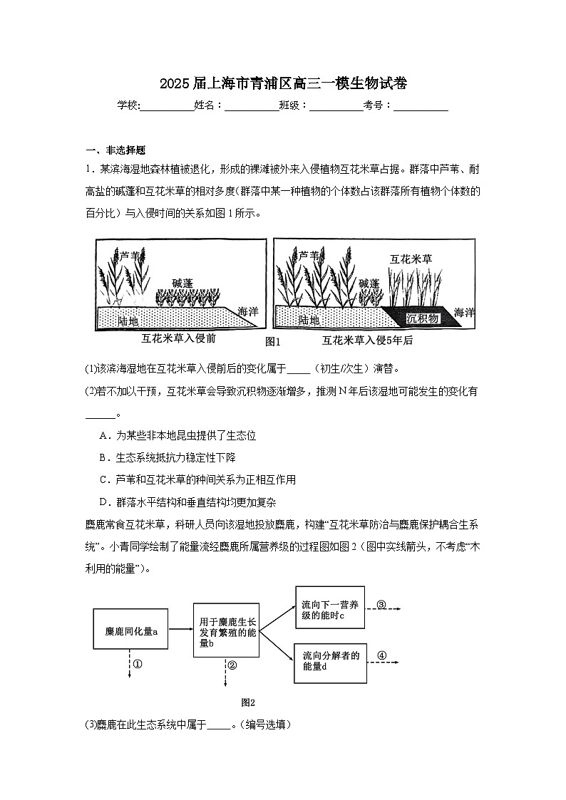 2025届上海市青浦区高三一模生物试卷第1页