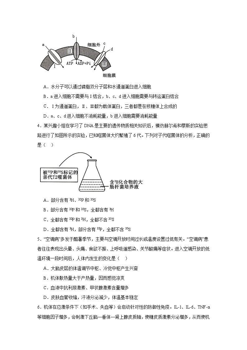 河南省新乡市部分学校2024-2025学年高三上学期第一次模拟考试（一模）生物试题第2页