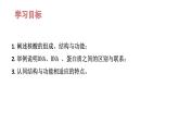高中生物人教版必修1《核酸是遗传信息的携带者》复习课 课件