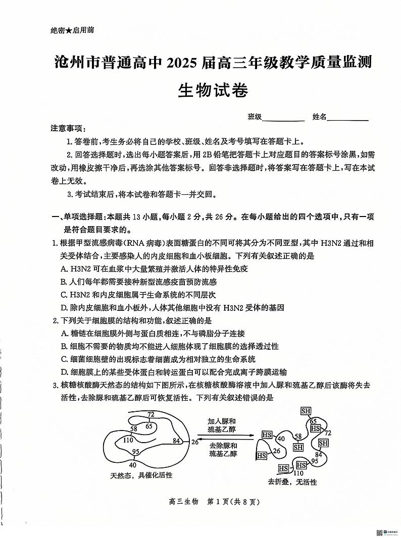 河北省沧州市2024—2025学年高三上学期12月质量检测生物试题第1页
