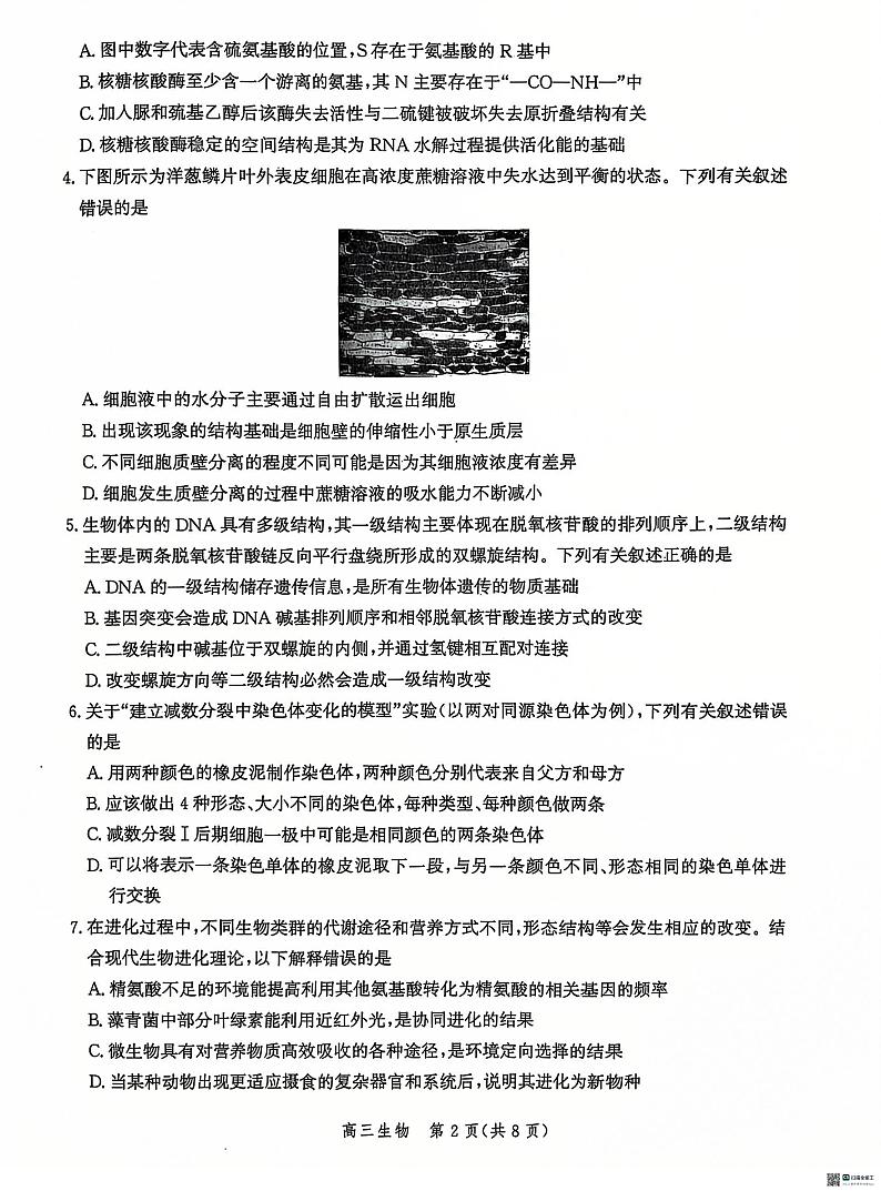 河北省沧州市2024—2025学年高三上学期12月质量检测生物试题第2页