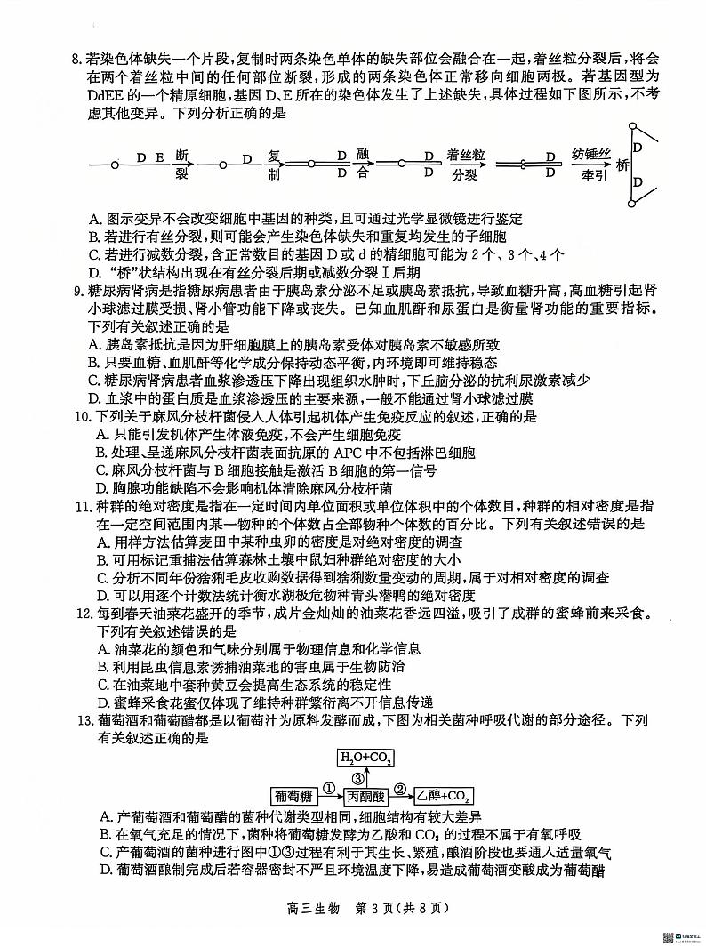 河北省沧州市2024—2025学年高三上学期12月质量检测生物试题第3页
