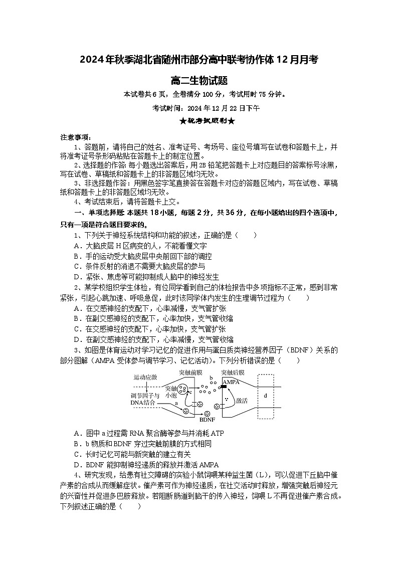 湖北省随州市部分高中联考协作体2024-2025学年高二上学期12月联考生物试题第1页