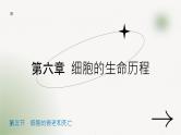 高中生物人教版必修1《细胞的衰老和死亡》课件