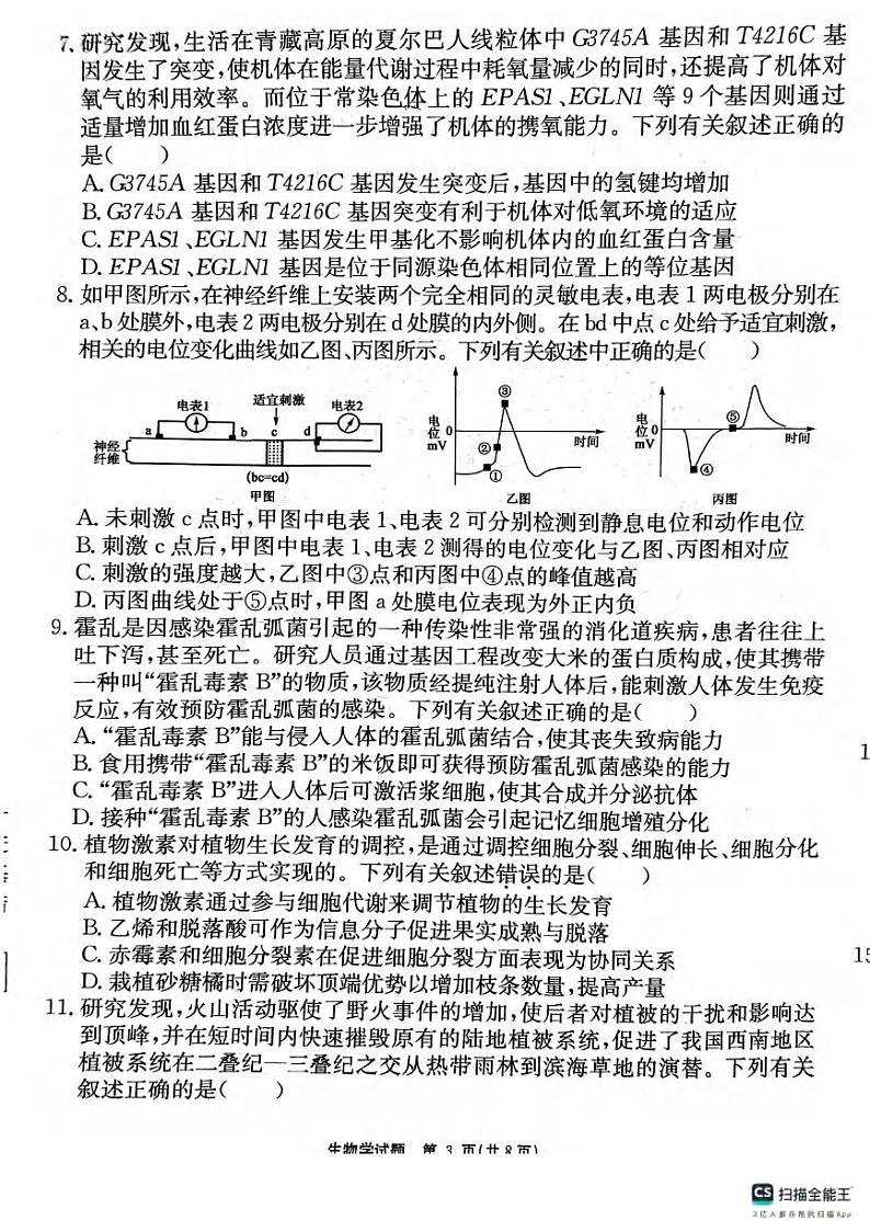生物丨安徽省师范大学附属中学2025届高三12月模拟考试生物试卷及答案第3页