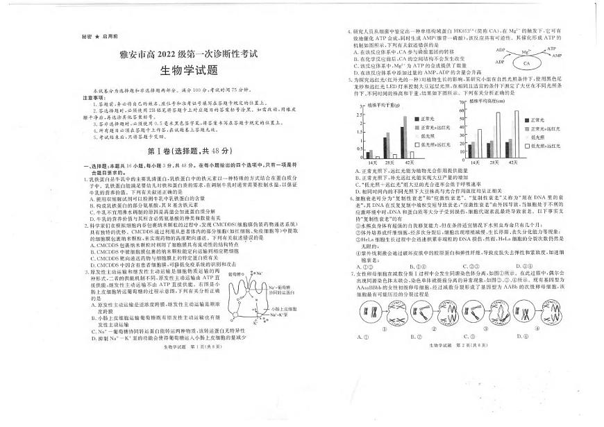 生物丨四川省九市联考2025届高三12月第一次诊断考试生物试卷及答案第1页