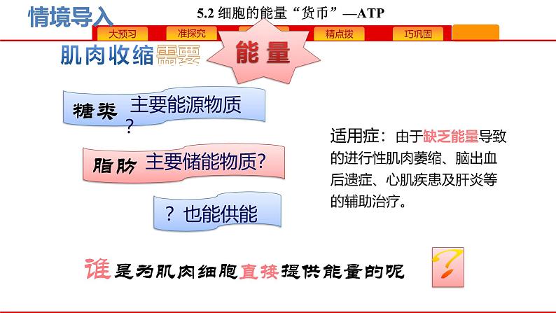 高中生物人教版必修一《细胞的能量“货币”ATP》课件第1页