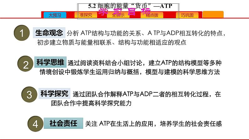 高中生物人教版必修一《细胞的能量“货币”ATP》课件第3页