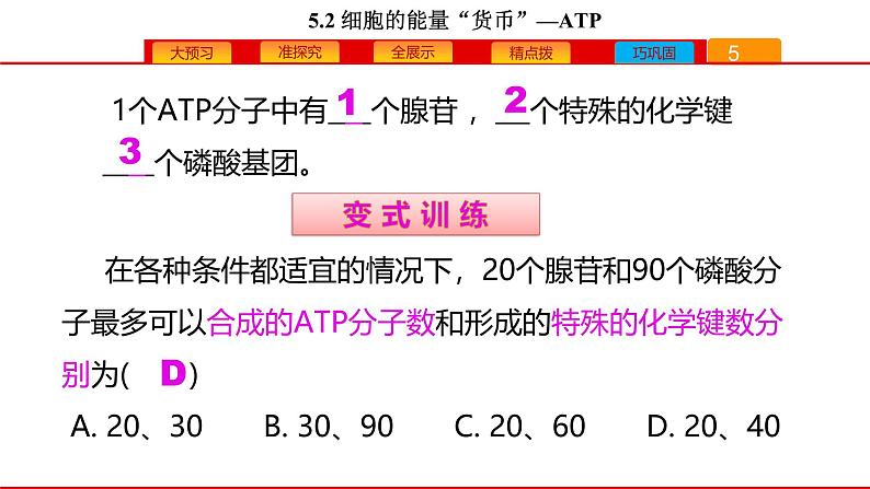 高中生物人教版必修一《细胞的能量“货币”ATP》课件第8页